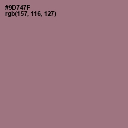 #9D747F - Bazaar Color Image