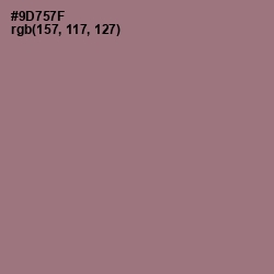 #9D757F - Bazaar Color Image