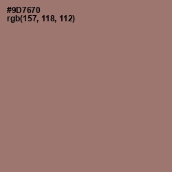 #9D7670 - Bazaar Color Image