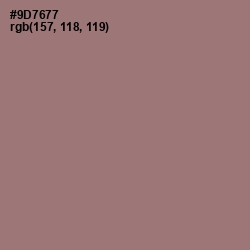 #9D7677 - Bazaar Color Image