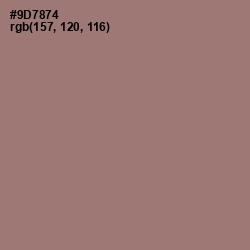 #9D7874 - Bazaar Color Image