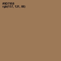 #9D7958 - Leather Color Image