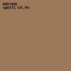 #9D795B - Leather Color Image