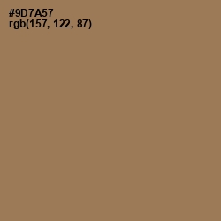 #9D7A57 - Leather Color Image