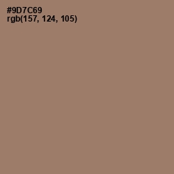#9D7C69 - Almond Frost Color Image