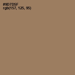 #9D7D5F - Leather Color Image