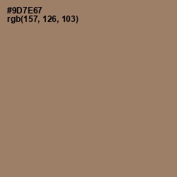 #9D7E67 - Almond Frost Color Image