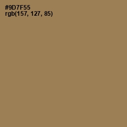 #9D7F55 - Leather Color Image