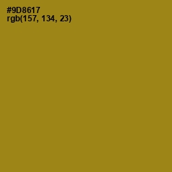 #9D8617 - Reef Gold Color Image