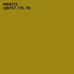 #9D8712 - Reef Gold Color Image