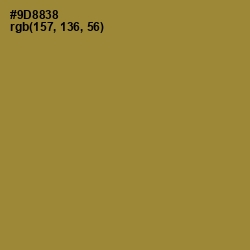 #9D8838 - Sycamore Color Image