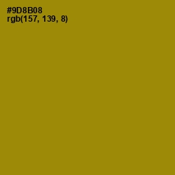 #9D8B08 - Reef Gold Color Image