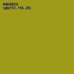 #9D9B19 - Reef Gold Color Image