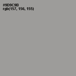#9D9C9B - Star Dust Color Image