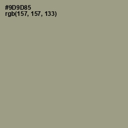 #9D9D85 - Lemon Grass Color Image