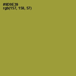 #9D9E39 - Sycamore Color Image