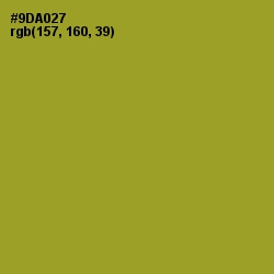 #9DA027 - Sushi Color Image