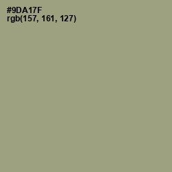 #9DA17F - Olivine Color Image