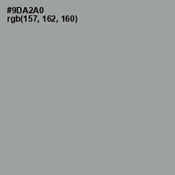 #9DA2A0 - Pewter Color Image