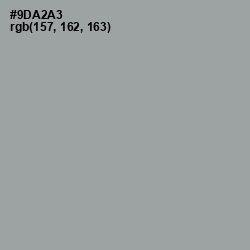 #9DA2A3 - Pewter Color Image