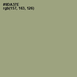 #9DA37E - Olivine Color Image
