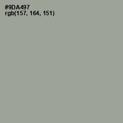 #9DA497 - Sage Color Image