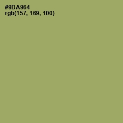 #9DA964 - Olivine Color Image