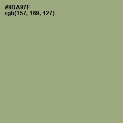 #9DA97F - Olivine Color Image