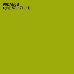 #9DAB0B - Citron Color Image