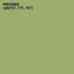 #9DAB6B - Olivine Color Image