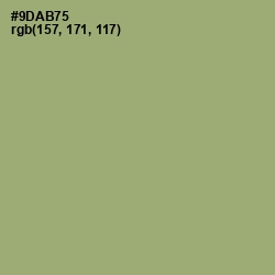 #9DAB75 - Olivine Color Image