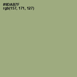 #9DAB7F - Olivine Color Image