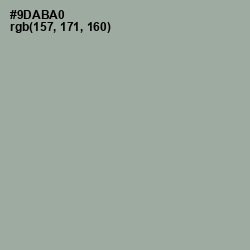 #9DABA0 - Pewter Color Image