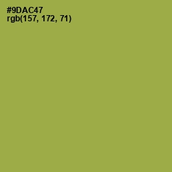 #9DAC47 - Chelsea Cucumber Color Image