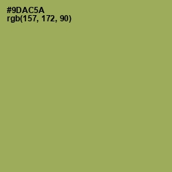 #9DAC5A - Chelsea Cucumber Color Image