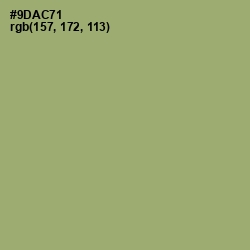 #9DAC71 - Olivine Color Image