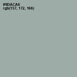 #9DACA6 - Pewter Color Image