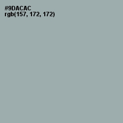 #9DACAC - Pewter Color Image