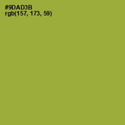 #9DAD3B - Sushi Color Image