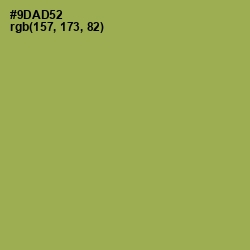 #9DAD52 - Chelsea Cucumber Color Image