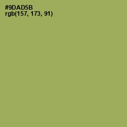 #9DAD5B - Chelsea Cucumber Color Image