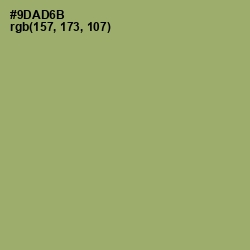 #9DAD6B - Olivine Color Image