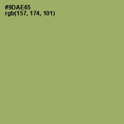 #9DAE65 - Olivine Color Image