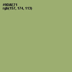 #9DAE71 - Olivine Color Image