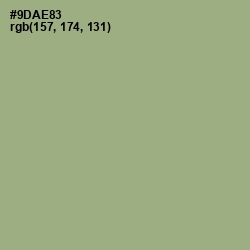 #9DAE83 - Sage Color Image