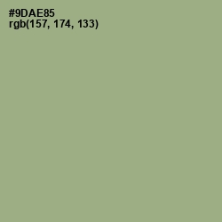 #9DAE85 - Sage Color Image