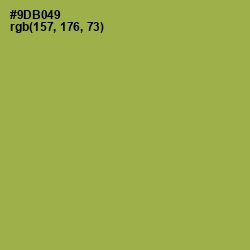 #9DB049 - Chelsea Cucumber Color Image