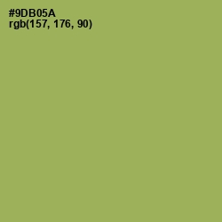 #9DB05A - Chelsea Cucumber Color Image