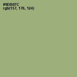#9DB07C - Olivine Color Image