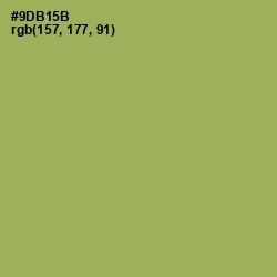 #9DB15B - Chelsea Cucumber Color Image